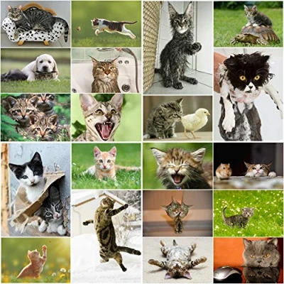 Abbildung von LUSTIGE KATZEN: 20 er Postkarten Set mit witzigen, süßen, bösen und lustigen Katzen (20 verschiedene Motive) für Sammler Postcrossing von EDITION COLIBRI