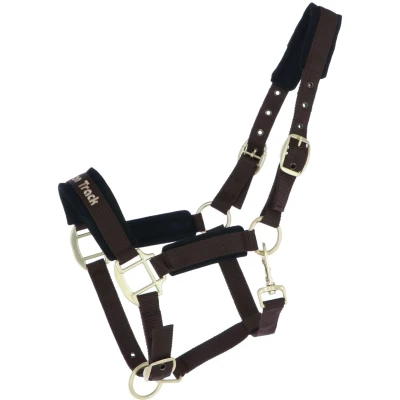 Abbildung von Back on Track Werano Halter