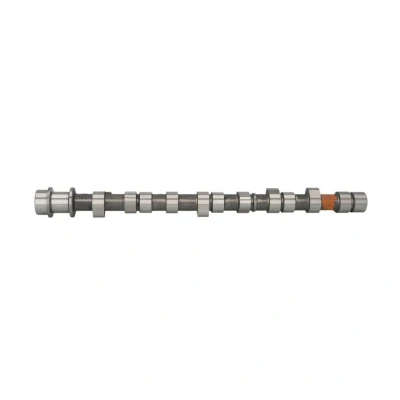 Abbildung von AMC 665842 Nockenwelle HYUNDAI: H 1 / iLoad Cargo