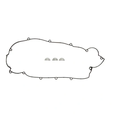 Abbildung von REINZ 15 53976 01 Dichtungssatz, Zylinderkopfhaube HYUNDAI: i30 I Hatchback, Tucson, Estate, KIA: cee‘d Sportage II