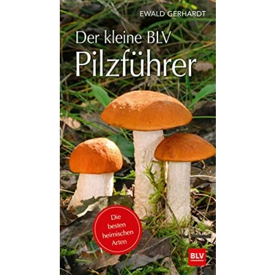 Abbildung von Der kleine BLV Pilzführer: Die besten heimischen Arten (BLV Pilze)