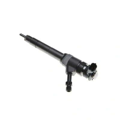 Abbildung von BOSCH 0 445 110 250 Einspritzdüse Common Rail mit Dichtring