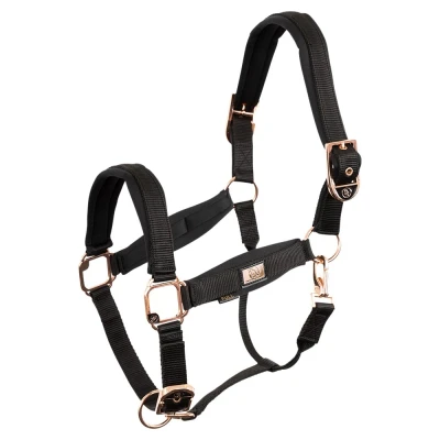 Abbildung von BR Halfter Rosé Gold Schwarz Warmblut