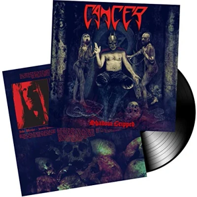 Abbildung von Shadow Gripped [Vinyl LP]