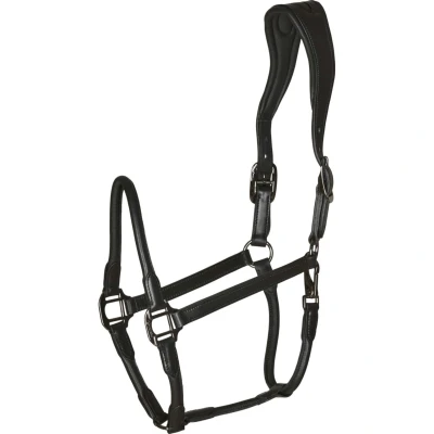 Abbildung von Catago Lederhalfter Schwarz Warmblut
