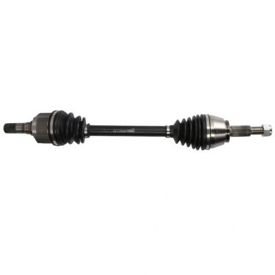 Abbildung von Antriebswelle PASCAL G2R163PC