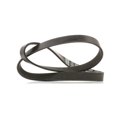 Abbildung von DAYCO 6PK1019EE Keilrippenriemen 1019,0 6 FORD: FIESTA 6, 5, Focus 2, MAZDA: 3 Hatchback, 2 Hatchback