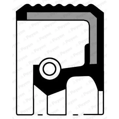 Abbildung von PAYEN NF849 Wellendichtring, Zwischenwelle