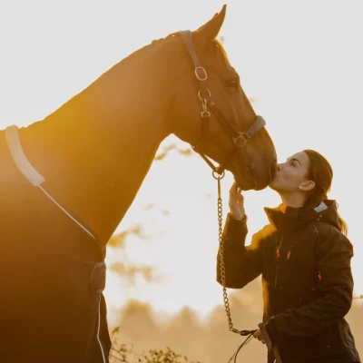 Abbildung von Dyon Halfter Leder Braun Warmblut