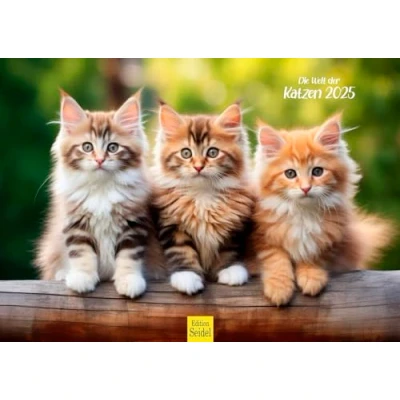 Abbildung von Edition Seidel Premium Kalender Die Welt der Katzen 2025 Format DIN A3 Wandkalender Katzenkalender Haustiere Kätzchen Katzenkinder Katze Kater Kitten