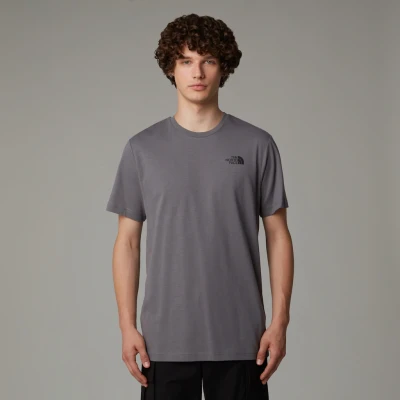 Abbildung von The North Face BOX Celebration TEE Tshirt print, Herren, Größe: Small, Smoked pearl