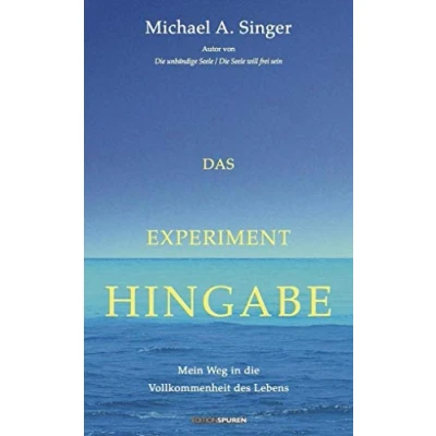 Abbildung von Das Experiment Hingabe: Mein Weg in die Vollkommenheit des Lebens
