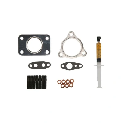 Abbildung von AJUSA JTC11380 Montagesatz, Lader with studs, syringe oil mit Dichtungen Montageanleitung RENAULT: ESPACE 4