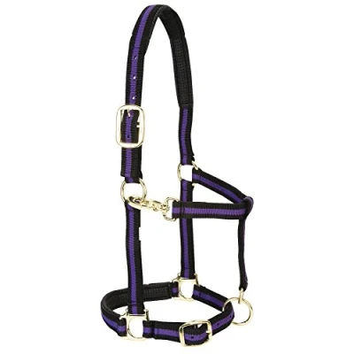 Abbildung von Weaver Leather Halfter für kleine Pferde, gepolstert, Nylon, 2,5 cm, Violett