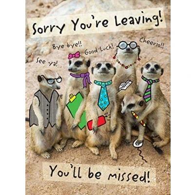 Abbildung von Piccadilly Greetings Moderne, große Karte zum Abschied, 30,5 x 22,9 cm