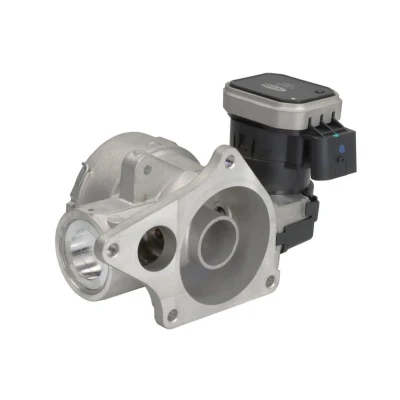 Abbildung von AGR Ventil MAGNETI MARELLI 571822112203
