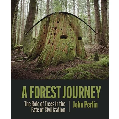 Abbildung von Forest Journey: the Role of Trees in Fate Civilization