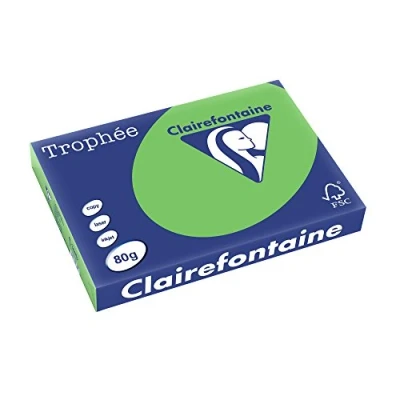 Abbildung von Clairefontaine 1885C Ries Druckerpapier / Kopierpapier Trophee, intensive Farben, DIN A3, 80g, 500 Blatt, Minze, 1
