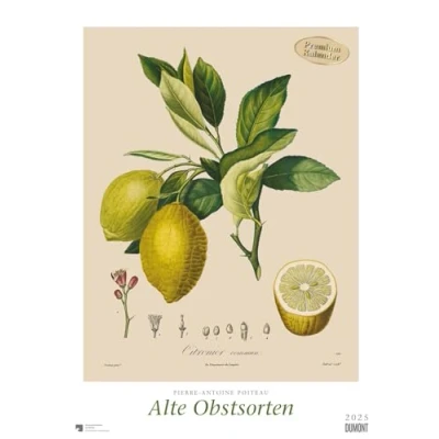 Abbildung von Pierre Antoine Poiteau: Alte Obstsorten 2025 DUMONT Kunst Kalender Poster Format 50 x 70 cm