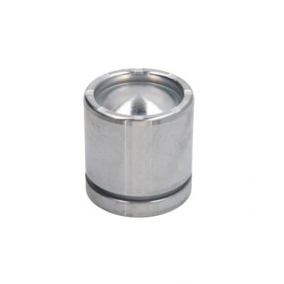 Abbildung von AUTOFREN SEINSA D025487 Kolben, Bremssattel 54 Vorderachse Ate VOLKSWAGEN: Touran I, Caddy 3, GOLF 6, SKODA: Octavia 2 Combi, BMW: 3 Touring, Coupe