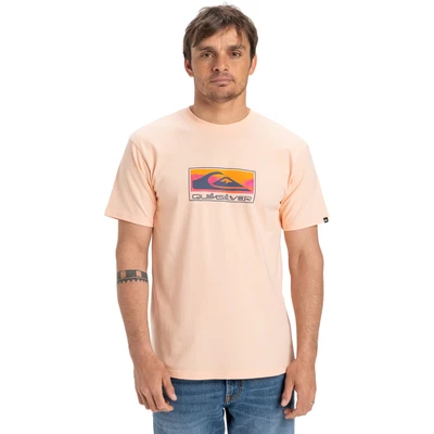 Abbildung von Quiksilver EV Gradient BOX Tshirt print, Herren, Größe: XXL, Mef