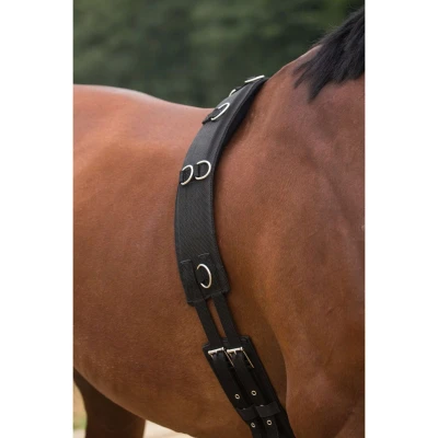 Abbildung von Horka Longiergurt mit Widerrist Schwarz Warmblut