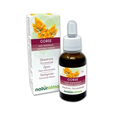 Abbildung von Gorse oder Stechginster (Ulex europaeus) Bach Blüten Naturalma Tropfen 30 ml Alkoholfreier Flüssigextrakt Blütenessenzen Vegan und alkoholfrei