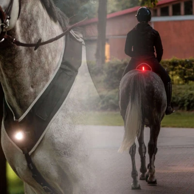 Abbildung von Kavalkade Horselight Set I