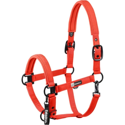 Abbildung von Eskadron FW25 Dynamic Sparkle Double Pin Halter