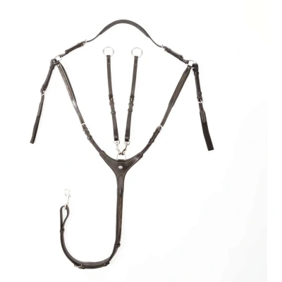 Abbildung von Kavalkade breastplate Diandro