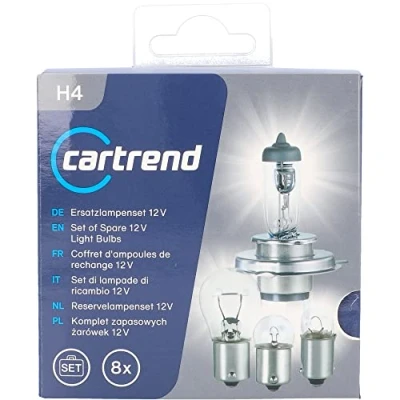 Abbildung von cartrend H4 Lampenersatzkasten