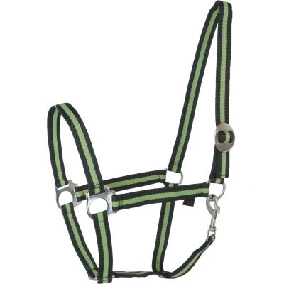 Abbildung von Covalliero Halfter Hippo Nylon Antazit/Zitrone Vollblut