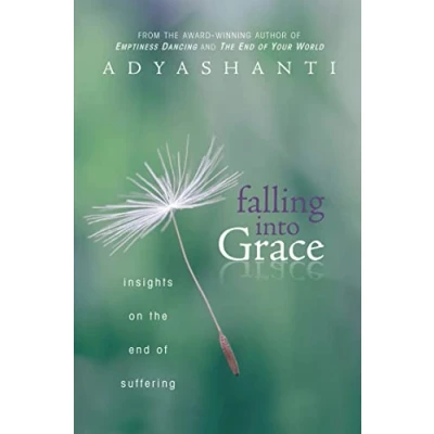Abbildung von Falling into Grace: Insights on the End of Suffering