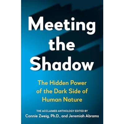 Abbildung von Meeting the Shadow: Hidden Power of Dark Side Human Nature (New Consciousness Reader)