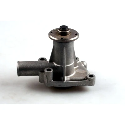 Abbildung von HEPU P1024 Wasserpumpe mit Dichtung mechanisch ROVER: Mini Hatchback