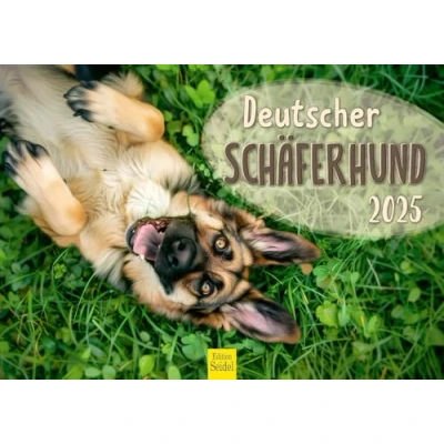 Abbildung von Edition Seidel Premium Kalender Deutscher Schäferhund 2025 Format DIN A3 Wandkalender Hundekalender Hund Haustier Hunderasse Welpen