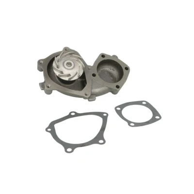 Abbildung von MAGNETI MARELLI 352316170314 Wasserpumpe