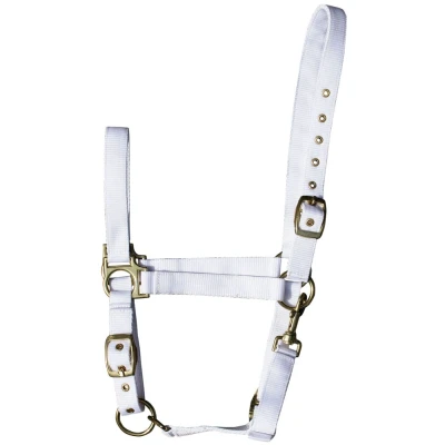Abbildung von Harry&#039;s Horse Halfter 3x verstellbar Weiß Warmblut