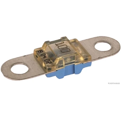 Abbildung von HERTH+BUSS ELPARTS 50295863 Sicherung 100 Blau 32