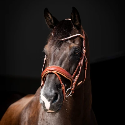 Abbildung von HB Showtime Bridle Ulani