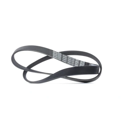 Abbildung von DAYCO 7PK1127 Keilrippenriemen 1127,0 7 RENAULT: SCENIC 2, MEGANE 3 Grandtour, 3, NISSAN: Juke