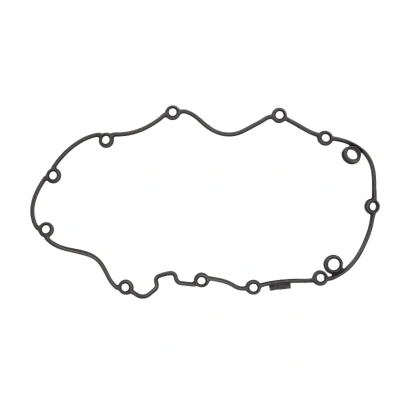 Abbildung von REINZ 71 40482 00 Ventildeckeldichtung AUDI: A8 D3, Q7