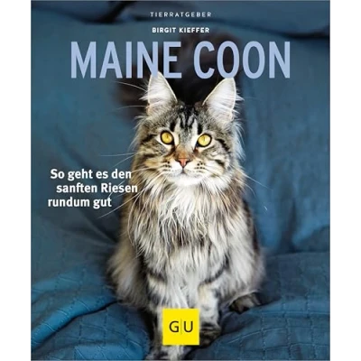 Abbildung von Maine Coon: So geht es den sanften Riesen rundum gut (GU Katzen)