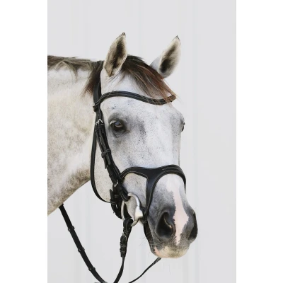 Abbildung von Montar Trense Monarch Spring Eco Leder Braun Pony
