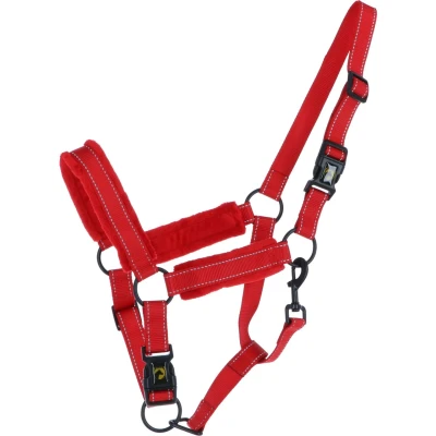 Abbildung von Excellent Halfter Superior Rot Fohlen Mini