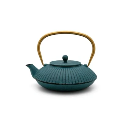 Abbildung von Bredemeijer Blaue Flache Asia Teekanne 1.1 Liter Gusseisen Gusskanne mit Tee Filter Sieb aus Edelstahl