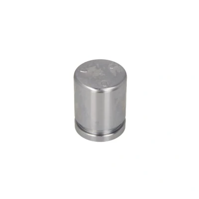 Abbildung von AUTOFREN SEINSA D025636 Kolben, Bremssattel 38 Hinterachse TOKICO SUBARU: Outback IV