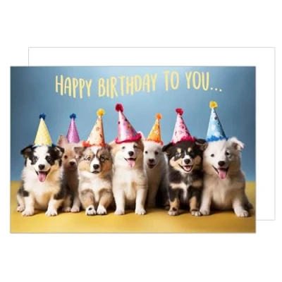 Abbildung von Edition Seidel Premium XXL Maxi Glückwunschkarte zum Geburtstag mit Umschlag Format DIN A4. Geburtstagskarte Grusskarte Karte Billet Happy Birthday to you Mann Frau Hund (A4 G9995)