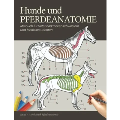Abbildung von Hunde und Pferdeanatomie Malbuch für Veterinärkrankenschwestern Medizinstudenten Hund + Arbeitsbuch Pferdeanatomie: Lernen Sie den ... anatomie der haustiere
