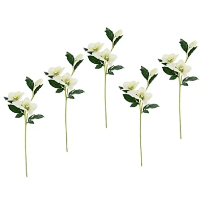 Abbildung von Flair Flower Helleborus Christrosenzweig 5er Set Kunstblume Seidenblumen Floristik Einzelblume Stielblume Einzelzweig Stiel Kunst Dekoblume Blumen Blumendeko,021114CR,Creme,57x12x5 cm